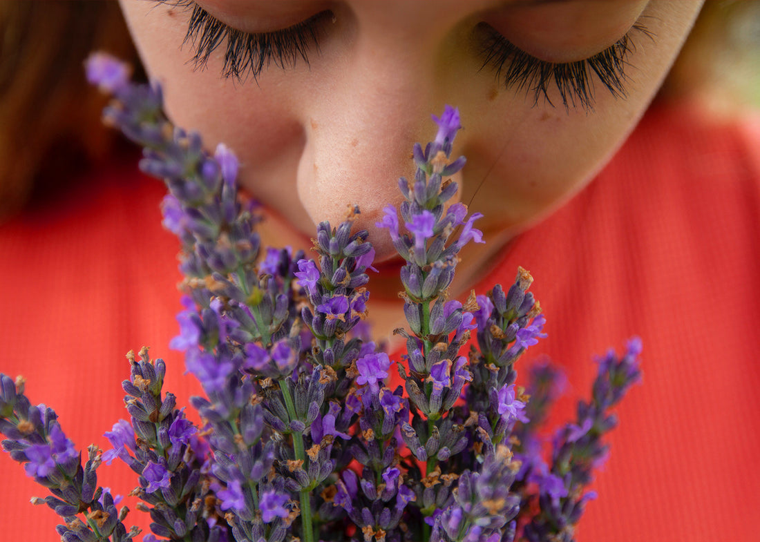 Shielded Beauty – Fragrance & Mood